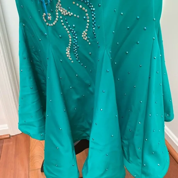 NWOT amazing Latin Ballroom Competition dress - Picture 10 of 11